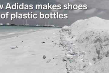 ocean plastik